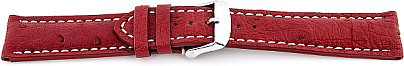   Watch Band 17J Dornschließe - Echt Strauß, Extra gepolstert - rot with weiß stitching 