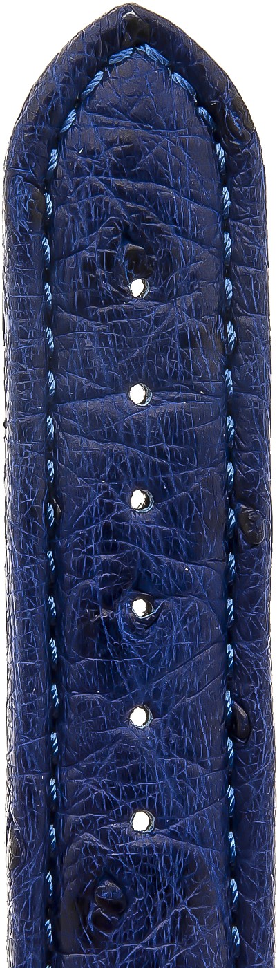   Uhrenarmband Dornschließe - Echt Strauß - königsblau mit blauer Naht 