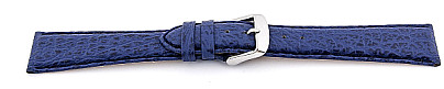   Uhrenarmband Echt Haifisch blau mit Dornschließe 
